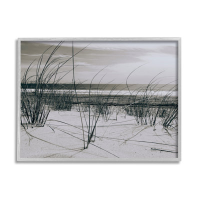 Photographie des dunes de l'océan par Graffi * Tee Studios