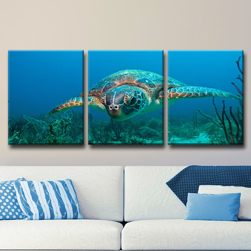 « turtle », ensemble de 3 reproductions de photos sur toiles
