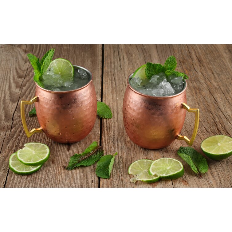 Twine Moscow Mule mugs, Stainless Steel Moscow Mule Cup, Cocktail