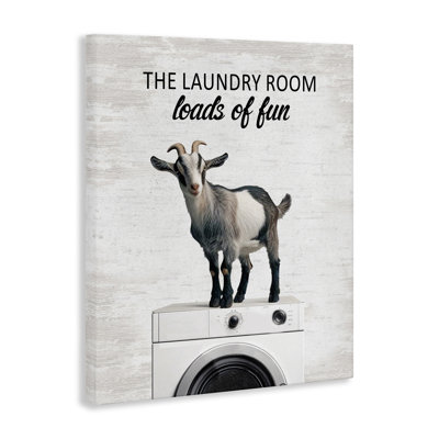 Charges de toile de chèvre Fun Laundry, design par Lettré et doublé