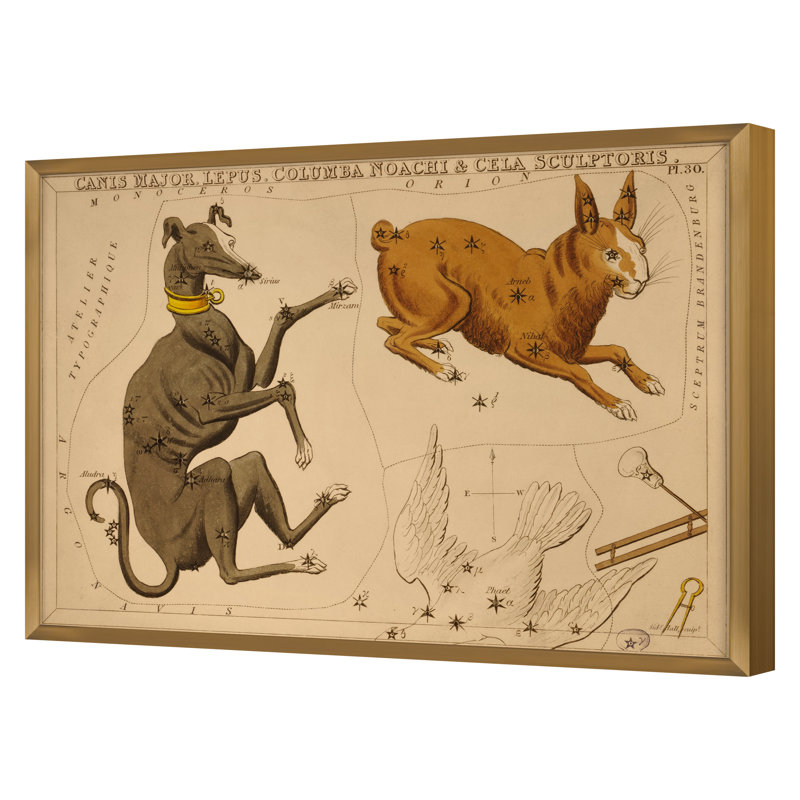 Canis Major Print by Grand Archives, 32" H x 45" W, Gold Framed