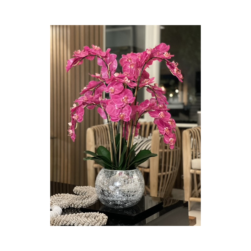 Phalaenopsis Orchids Centerpiece in Vase