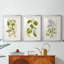 Arbre en fleurs I - reproduction sur mesure encadrée de qualité supérieure mate - 3 pièces-772769727-772769722