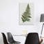 Fern Fernandes II par Carol Robinson, impression sur toile tendue-55904080