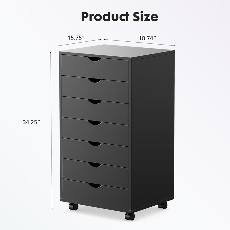 Classeur de rangement Shalisha de 18,74 po de largeur, Noir