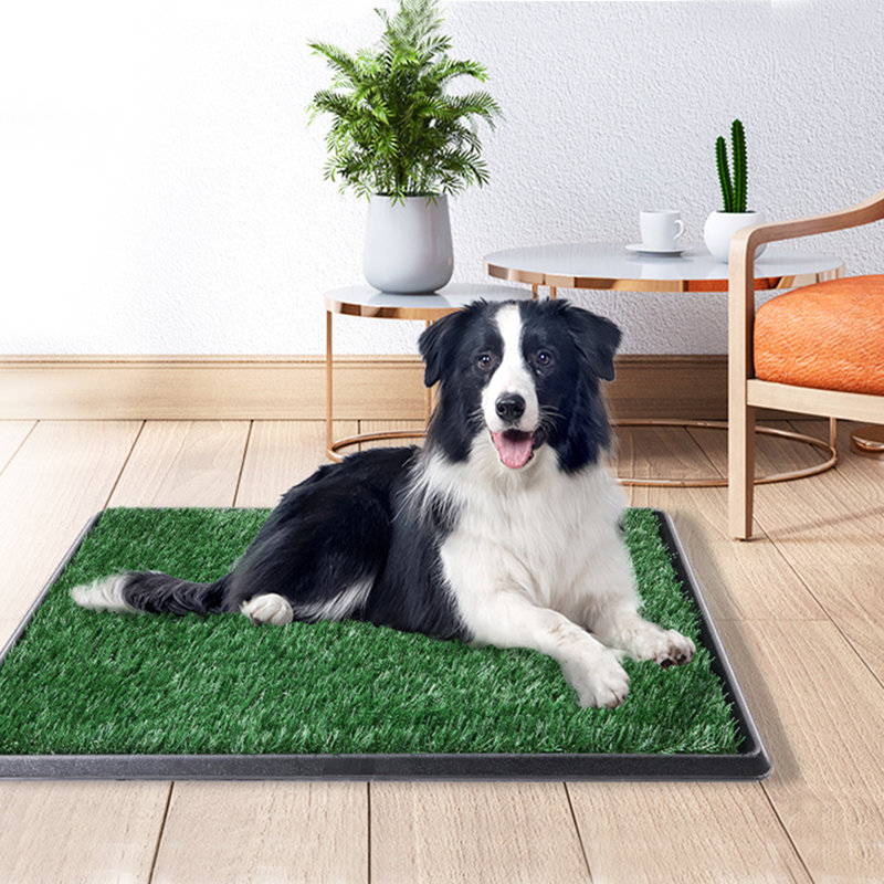 Pot portatif pour chien, système d'extérieur et d'intérieur pour chien, 25 * 20 pouces, H 1,57 po x l 29,90 po x P 20 po
