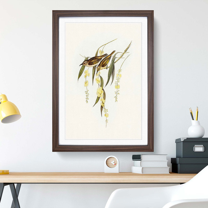Brown Honeyeater Birds by Elizabeth Gould - Picture Frame Graphic Art Print, 36cm H x 27cm W x 2cm D, Walnut Framed