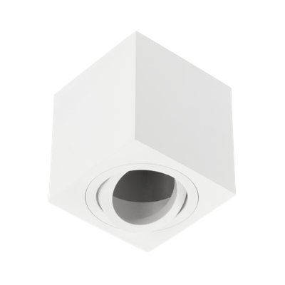 Cashus Flush Mount
