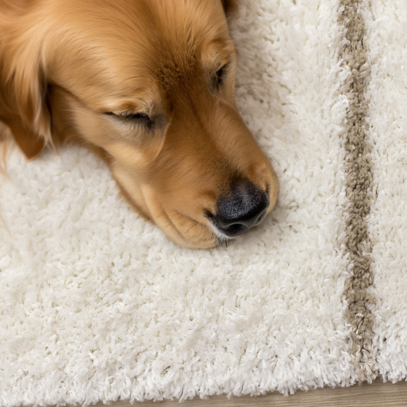 Rustem Shag Area Rug, Rectangle 5'3" x 7'7"