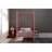 Canopy Metal Bed