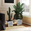 Handmade Mirrored Glass Planter Box-113364248