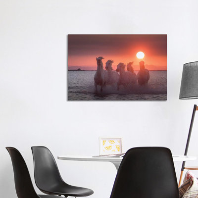 White Angels Of Camargue XXIV by Daniel Kordan - Wrapped Canvas Print