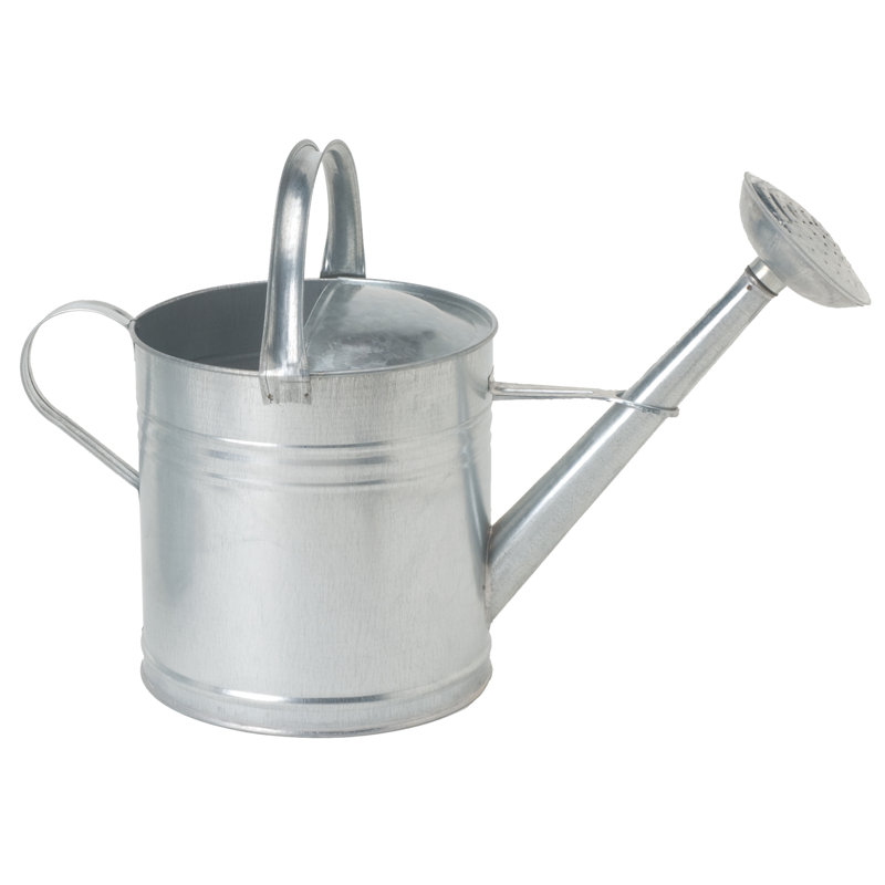 Arrosoir en acier galvanisé 2 gallons, Argent argent