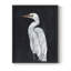 Calm Great Egret I, reproduction encadrée - bois massif-71950702-71950710