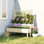Solid Wood 2 Tier Plant Stand