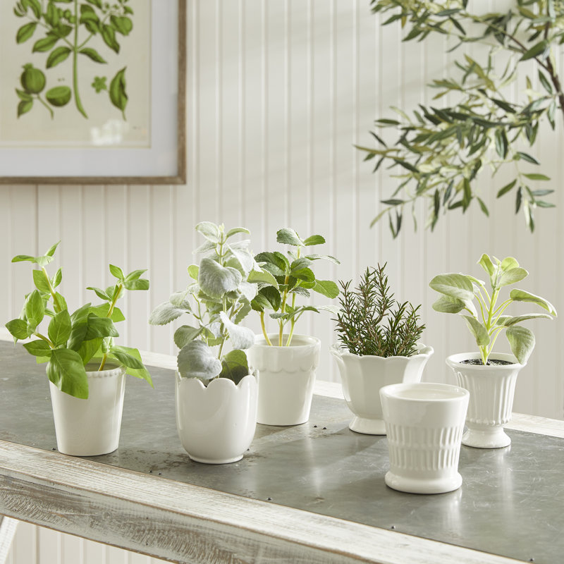 Mirabelle Ceramic Planter