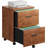 Ebern Designs 2 Drawer Mobile Filing Cabinet with Wheels, Wood File Cabinet for Home Office, Lockable Rolling File Cabinet Fits Letter/Legal Size, Printer Stand with Storage-1188909984