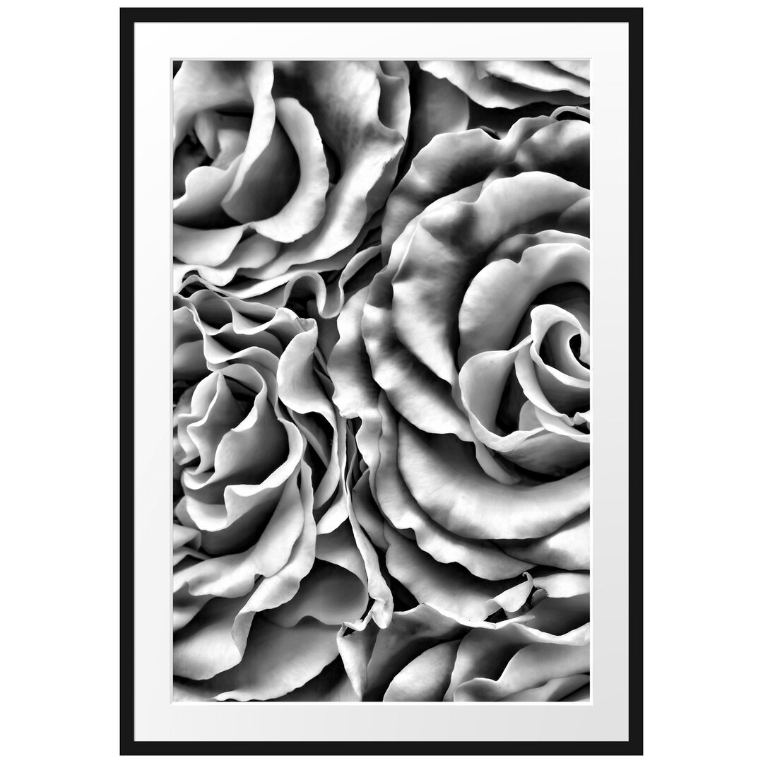 Gerahmtes Poster Blumen Rosen Blumenmeer