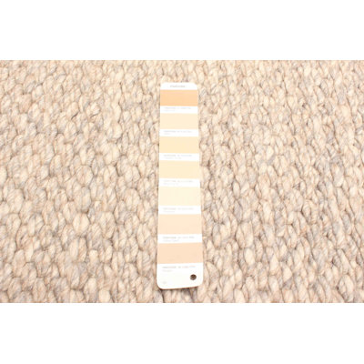 Sienna Tan Rug 5'4" x 7'2"