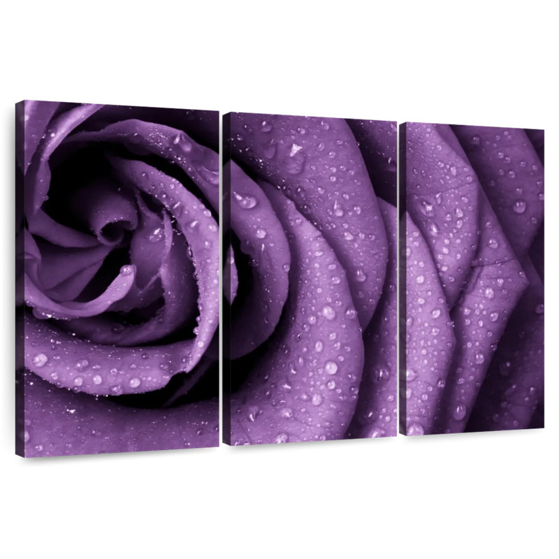 Rose Harnek Dewy Violet, H 42 po x l 65 po