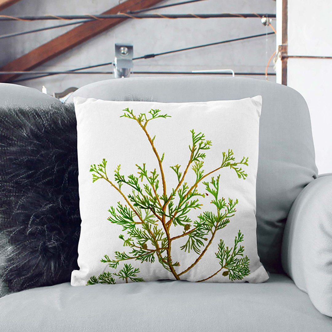 Cypress Tree Branch by Pierre-Joseph Redoute Cushion with Filling