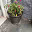 Customer photo 2 of 2