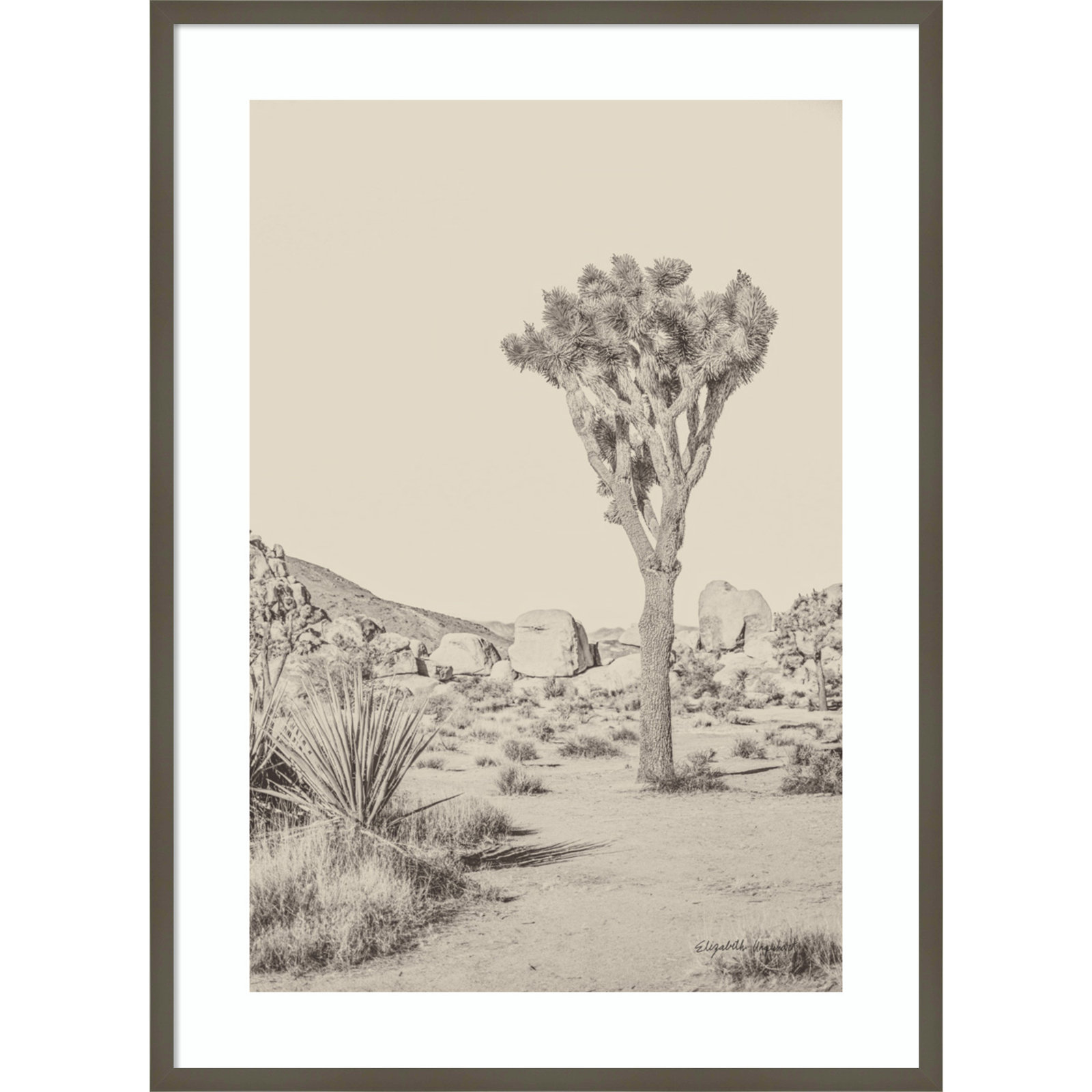 Joshua Tree III Neutral by Elizabeth Urquhart, Gray Framed, 41" H x 30" W