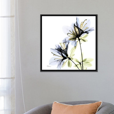 " Azalea I " by Albert Koetsier