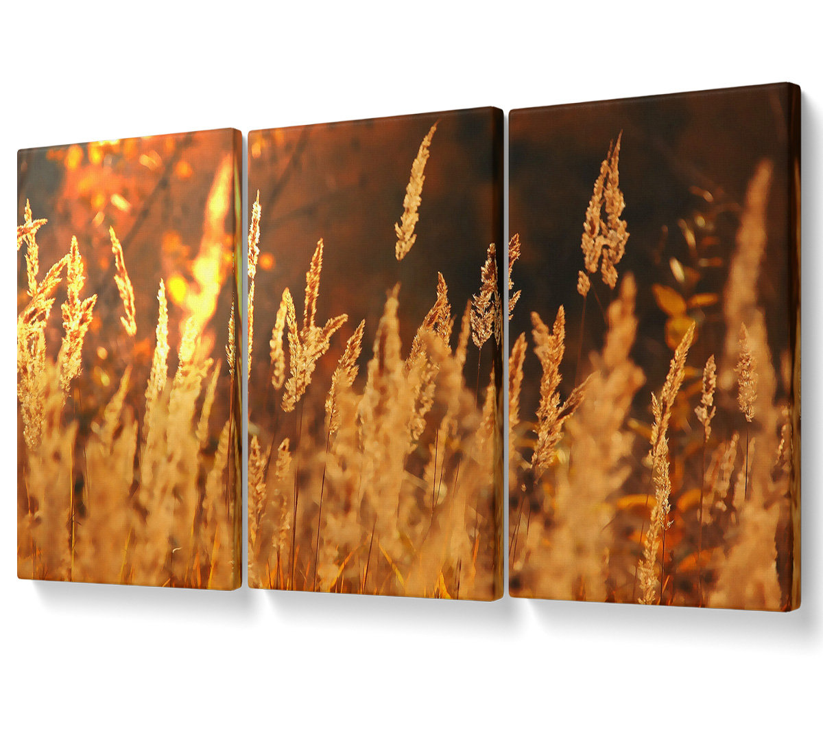 Ebern Designs Golden Field - 3 Piece Wrapped Canvas Graphic Art ...