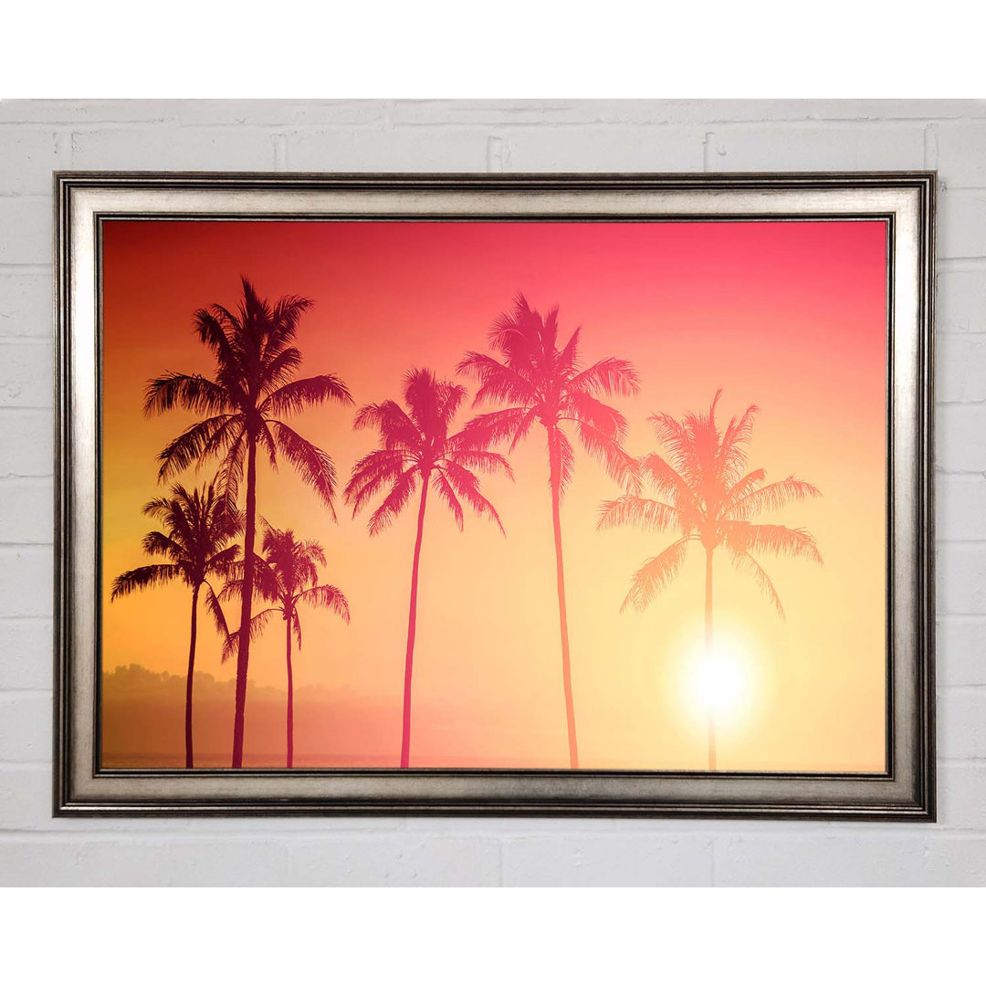 Palm Tree Haze Gerahmter Druck