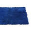 Tapis bleu Parra