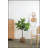 Fiddle Fig Leaf Tree, 40 Leaves