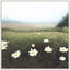 Wild Daisies 1 Print-1938988393