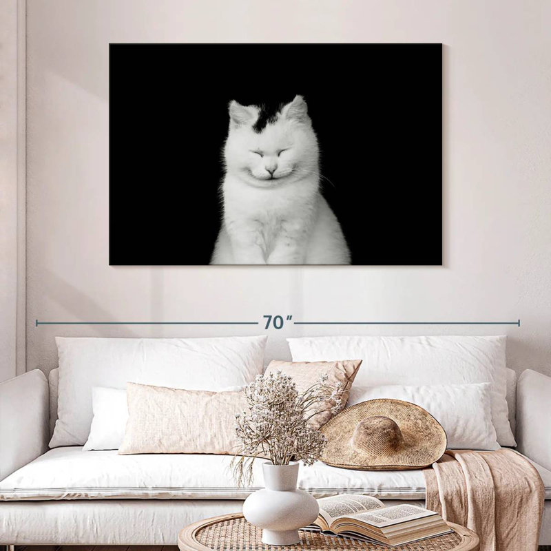 Chat blanc ravi Brampt, H 32 po x l 48 po