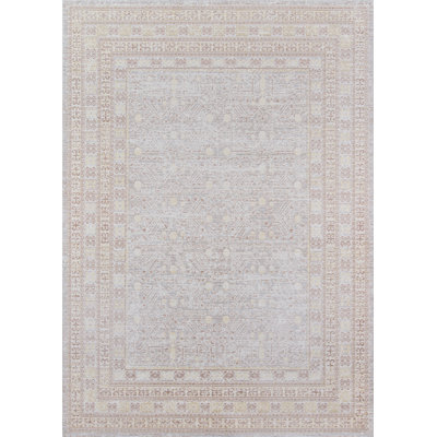 Vierzon Oriental Indoor Rug