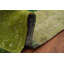 Tapis vert en laine patiné 7 x 10