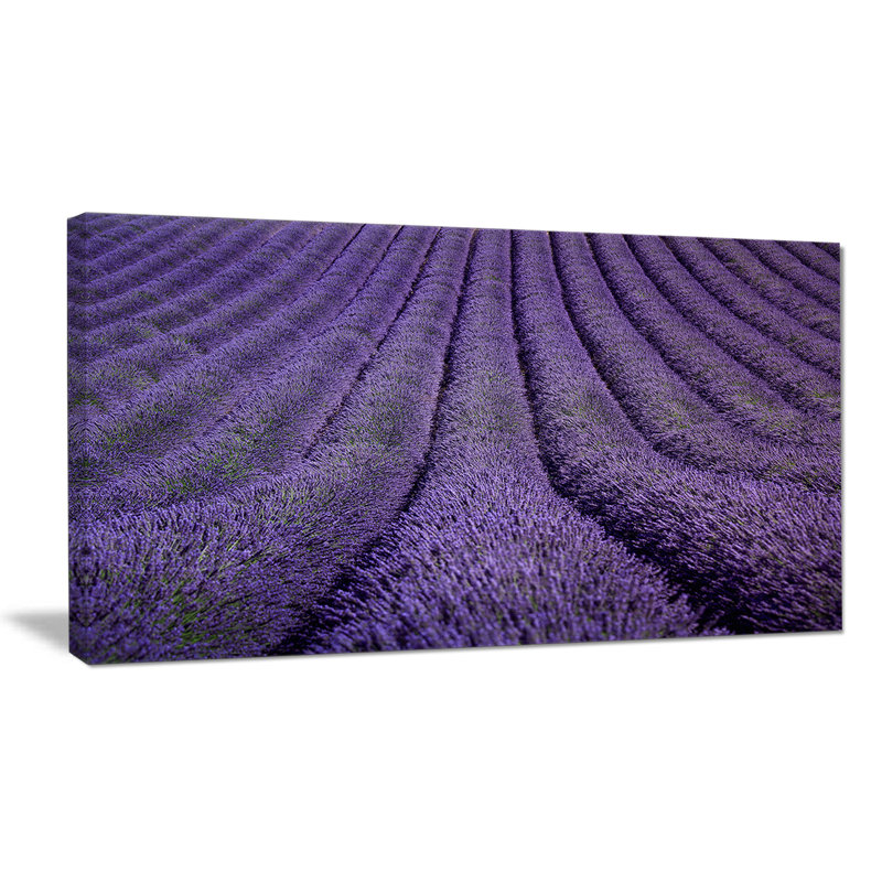 Texture florale lavande texture reproduction de photo sur toile tendue, H 28 x l 60 po x P 1 po