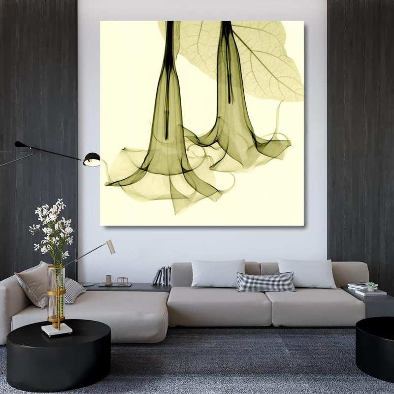 Datura IMA-M834, 36'' H x 36'' W