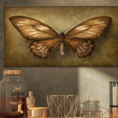 Papillon rétro-reproduction d’art