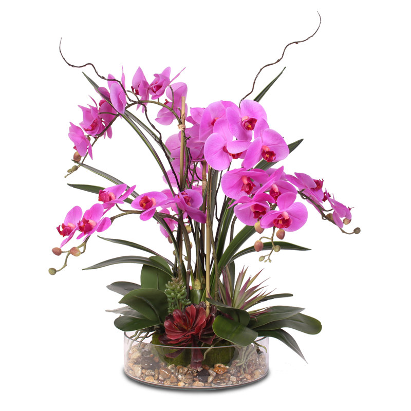 Real Touch Phalaenopsis Orchid with Succulents Floral Arrangement in Pot