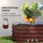 Sairah Metal Raised Garden Bed-197957089-196025441