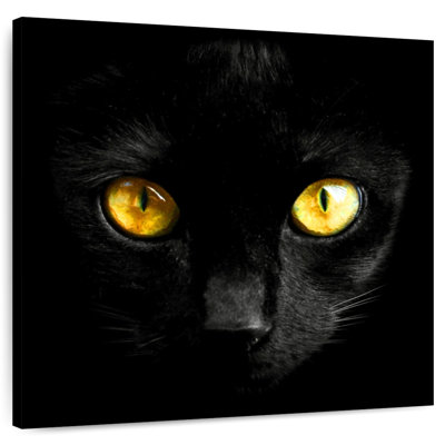 Chat noir aux yeux jaunes Brampt