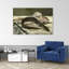 Eel And Red Mullet, 1864 Abstract Contemporary Fish Wall Art Print-1909903860