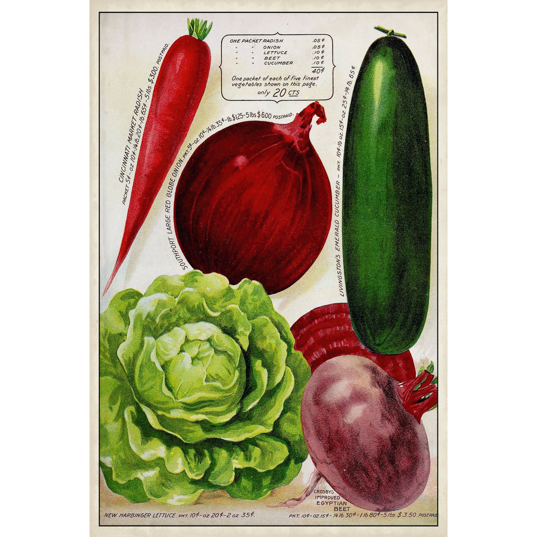 Leinwandbild Antique Seed Packets XI