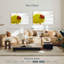 Coccinelle sur camomille-111892209