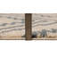 Malachi Geometric Shag Area Rug-1438013952