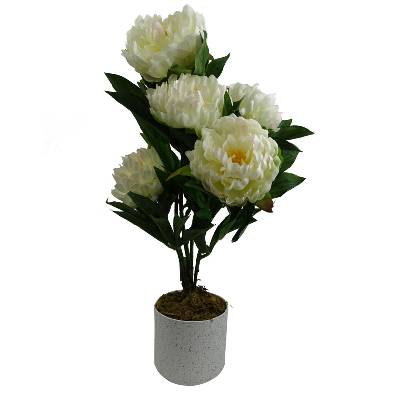 Plastic, Silk Peony Arrangement in Pot