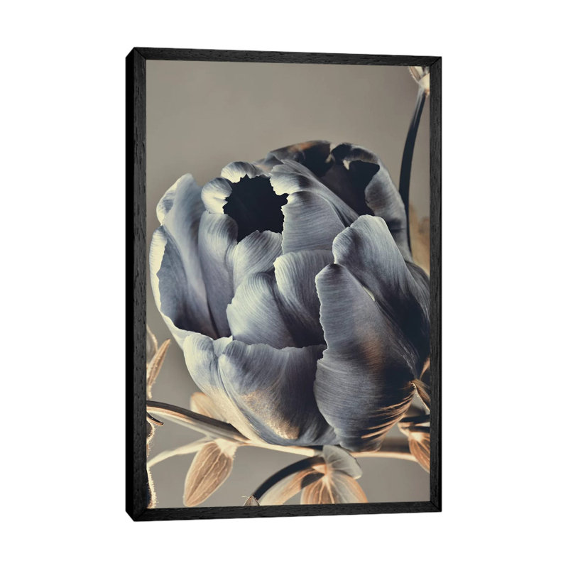 Baroque III - Painting on Canvas, 66.04cm H x 45.72cm W x 3.81cm D, Black Framed