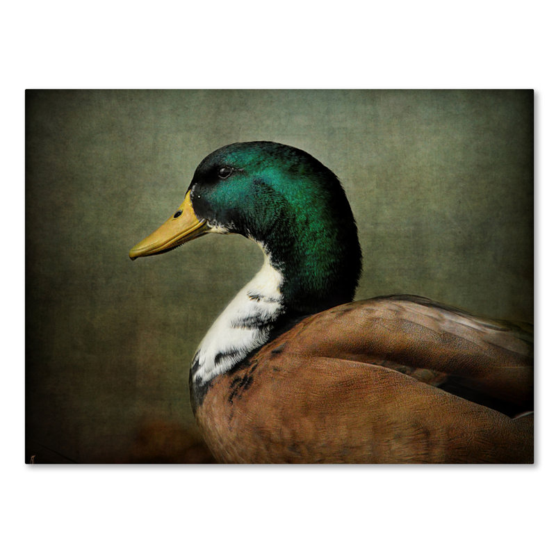 «Mallard Duck Portrait» de Vidur, impression sur toile tendue, H 18 po x l 24 po