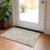 Machine Washable Indoor/Outdoor Chayden ACN1006 Beige 3' x 5' Rug